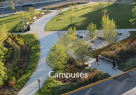 campuses landscape architecture